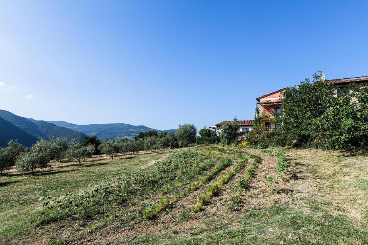 Agriturismo La Fontaccia 鲁菲娜 外观 照片