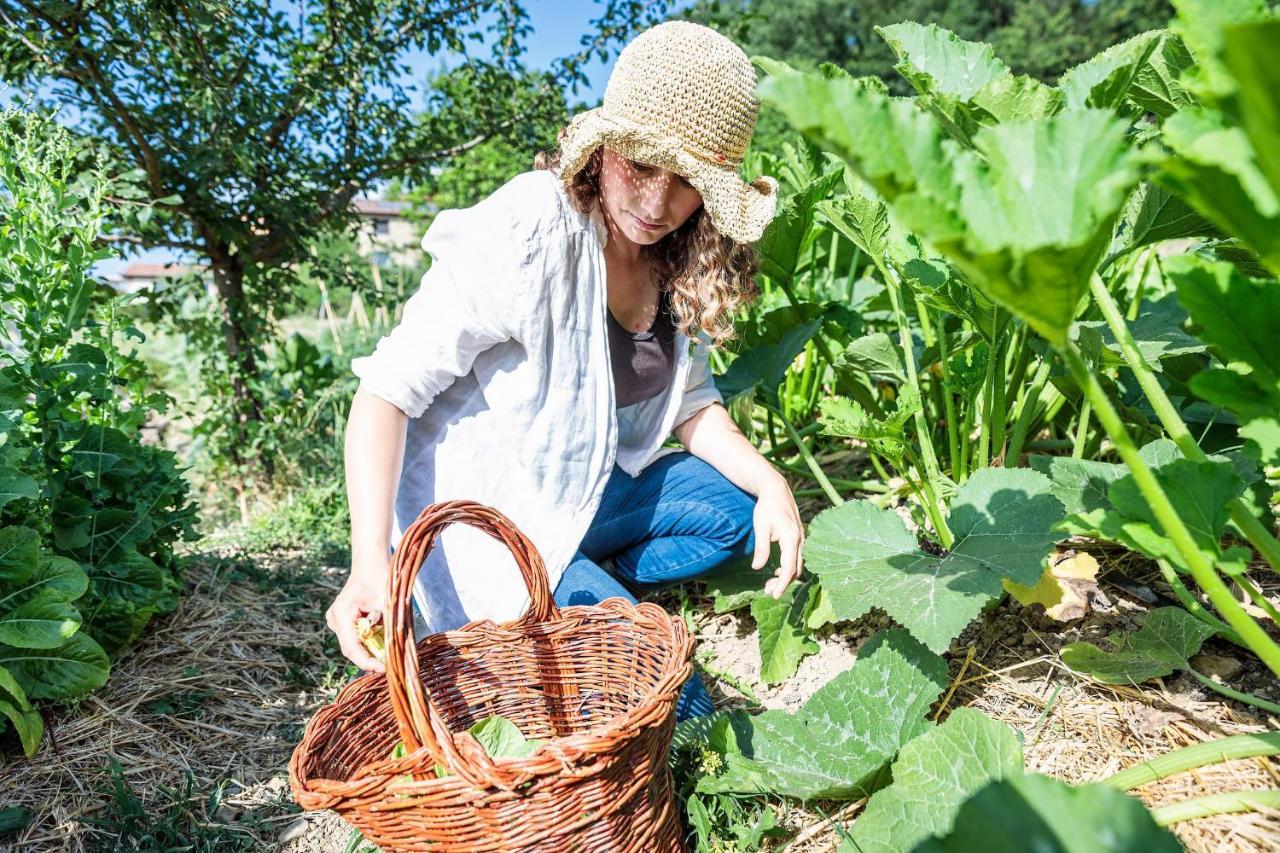 Agriturismo La Fontaccia 鲁菲娜 外观 照片