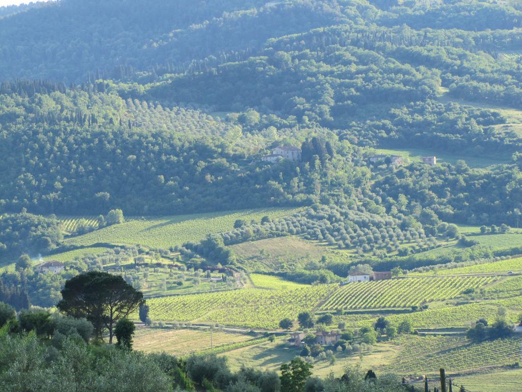 Agriturismo La Fontaccia 鲁菲娜 外观 照片
