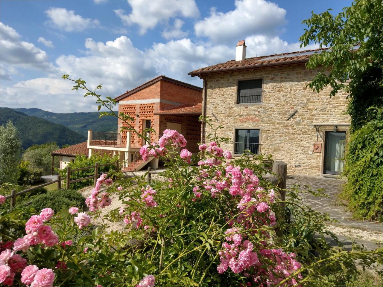 Agriturismo La Fontaccia 鲁菲娜 外观 照片